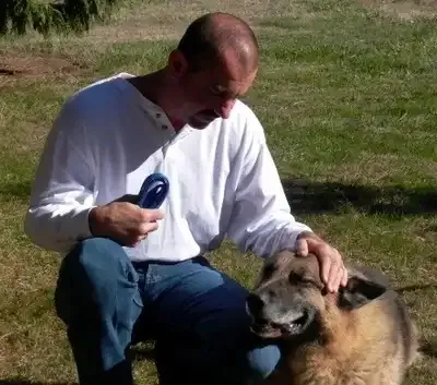 qt=q_51 (2) Dog practicing obedience commands with a trainer
